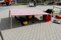 IMG_9833 (Large)